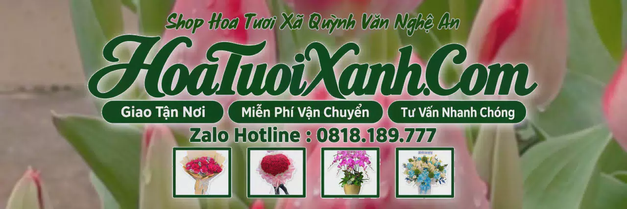 Ảnh bìa Tiệm Hoa Tươi Tại Xã Quỳnh Văn Nghệ An, Shop Hoa Online Uy Tín