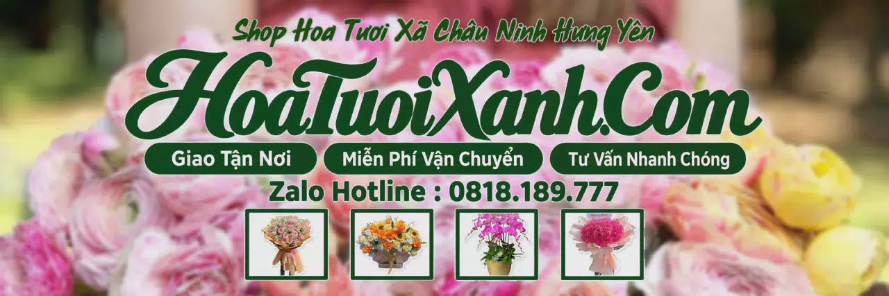 Ảnh bìa Tiệm Hoa Tươi Tại Xã Châu Ninh Hưng Yên, Hoa Tươi Mới Mỗi Ngày
