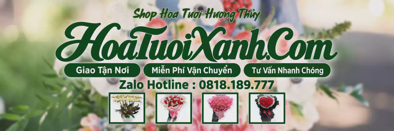 Ảnh bìa Tiệm Hoa Tươi Tại Hương Thủy, Hoa Tươi Mới Mỗi Ngày