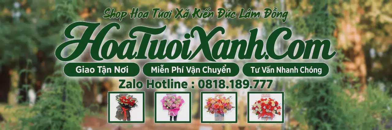 Ảnh bìa Tiệm Hoa Tươi Tại Xã Kiến Đức Lâm Đồng, Shop Hoa Tươi Chất Lượng