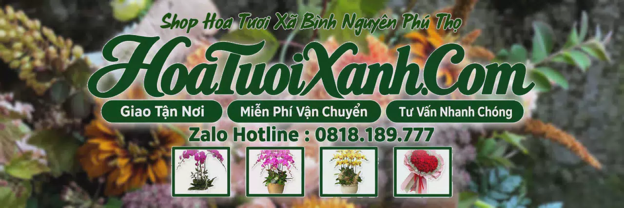 Ảnh bìa Tiệm Hoa Tươi Tại Xã Bình Nguyên Phú Thọ, Đặt Hoa Tươi Giao Nhanh