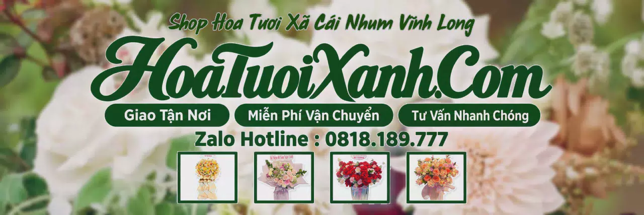 Ảnh bìa Tiệm Hoa Tươi Tại Xã Cái Nhum Vĩnh Long, Cửa Hàng Hoa Tươi Giá Tốt