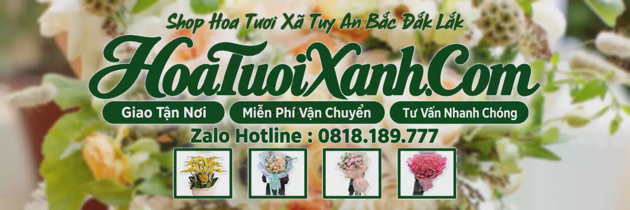 Ảnh bìa Tiệm Hoa Tươi Tại Xã Tuy An Bắc Đắk Lắk, Đặt Hoa Online Tiện Lợi