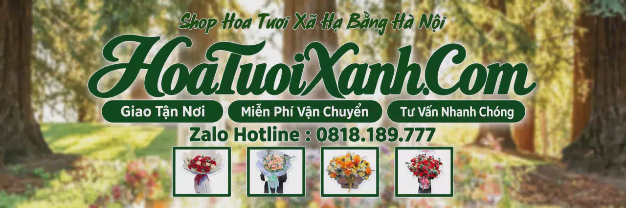 Ảnh bìa Tiệm Hoa Tươi Tại Xã Hạ Bằng Hà Nội, Dịch Vụ Đặt Hoa Trực Tuyến