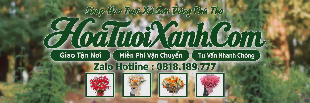 Ảnh bìa Tiệm Hoa Tươi Tại Xã Sơn Đông Phú Thọ, Giao Hoa Nhanh Trong 2 Giờ