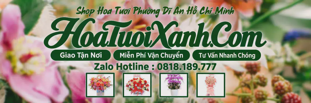 Ảnh bìa Tiệm Hoa Tươi Tại Phường Dĩ An Hồ Chí Minh, Dịch Vụ Giao Hoa Chuyên Nghiệp