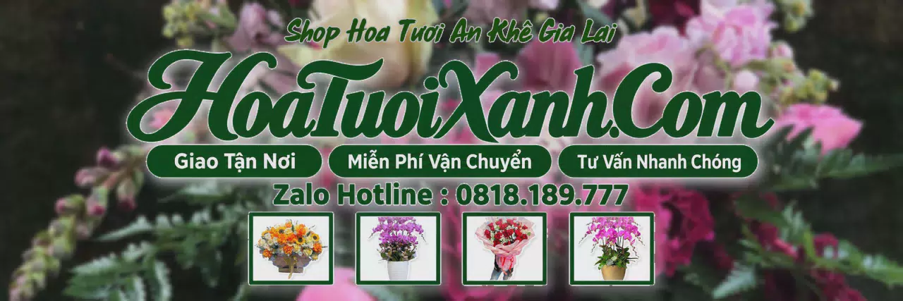 Ảnh bìa Tiệm Hoa Tươi Tại An Khê Gia Lai, Shop Hoa Online Uy Tín