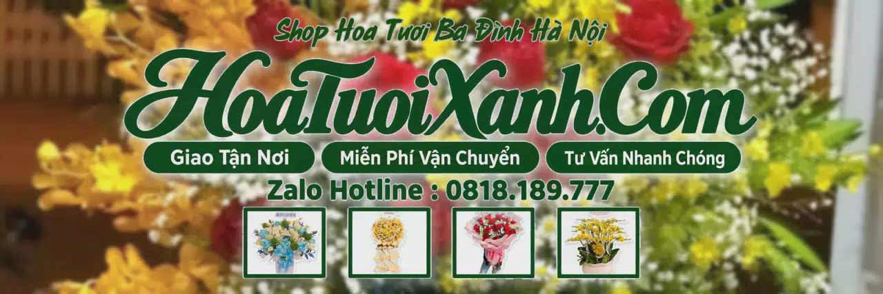 Ảnh bìa Tiệm Hoa Tươi Tại Ba Đình Hà Nội, Điện Hoa Tươi Giá Tốt