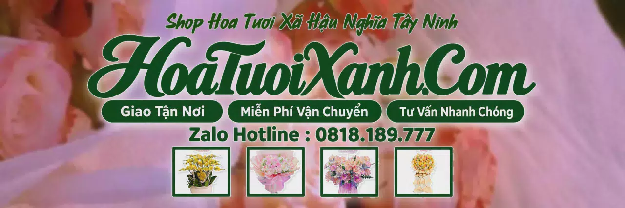 Ảnh bìa Tiệm Hoa Tươi Tại Xã Hậu Nghĩa Tây Ninh, Giao Hoa Tận Nơi