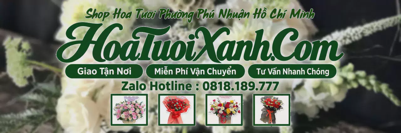 Ảnh bìa Tiệm Hoa Tươi Tại Phường Phú Nhuận Hồ Chí Minh, Đặt Hoa Tươi Giao Nhanh