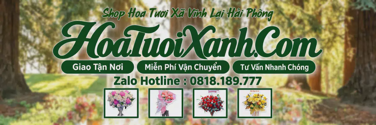 Ảnh bìa Tiệm Hoa Tươi Tại Xã Vĩnh Lại Hải Phòng, Dịch Vụ Đặt Hoa Trực Tuyến