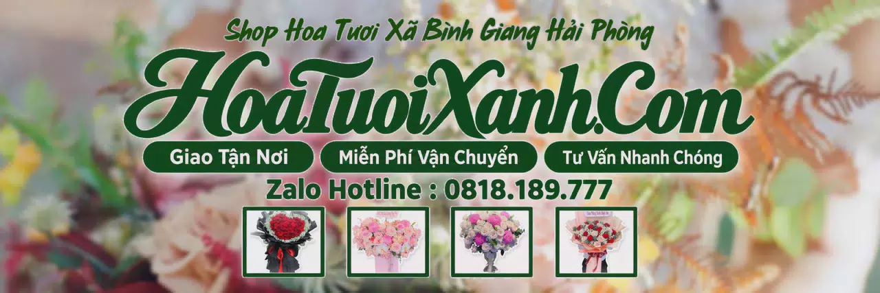 Ảnh bìa Tiệm Hoa Tươi Tại Xã Bình Giang Hải Phòng, Đặt Hoa Nhanh Giao Đúng Hẹn