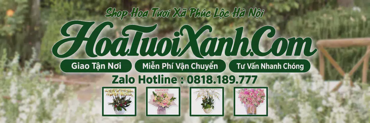 Ảnh bìa Tiệm Hoa Tươi Tại Xã Phúc Lộc Hà Nội, Giao Hoa Nhanh Trong 2 Giờ