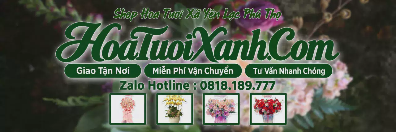 Ảnh bìa Tiệm Hoa Tươi Tại Xã Yên Lạc Phú Thọ, Dịch Vụ Giao Hoa Chuyên Nghiệp