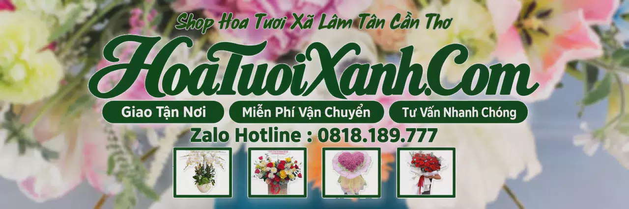 Ảnh bìa Tiệm Hoa Tươi Tại Xã Lâm Tân Cần Thơ, Dịch Vụ Điện Hoa Chuyên Nghiệp