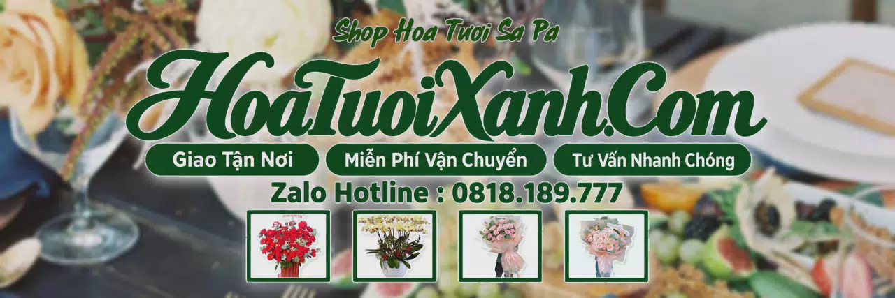 Ảnh bìa Tiệm Hoa Tươi Tại Sa Pa, Shop Hoa Tươi Gần Đây