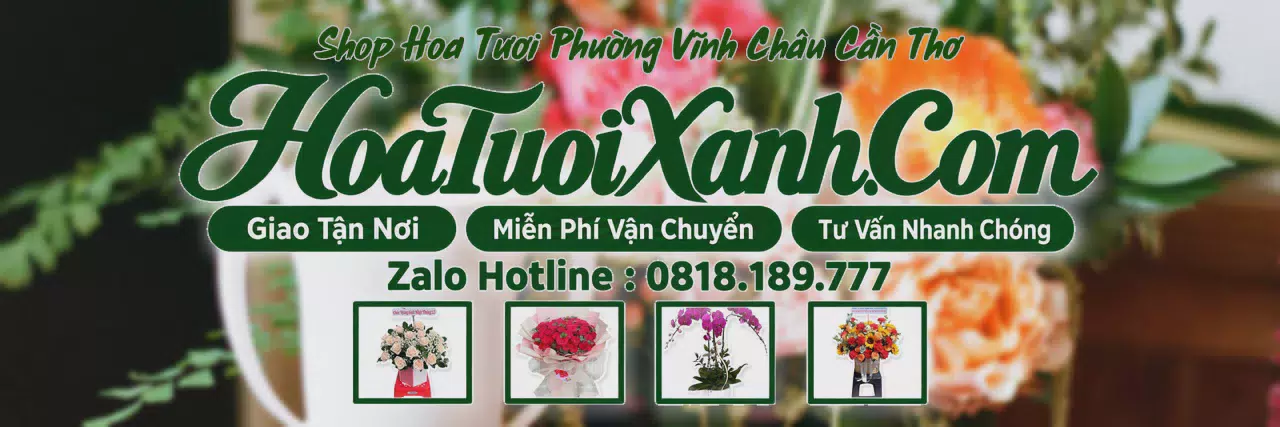 Ảnh bìa Tiệm Hoa Tươi Tại Phường Vĩnh Châu Cần Thơ, Cửa Hàng Hoa Tươi Uy Tín