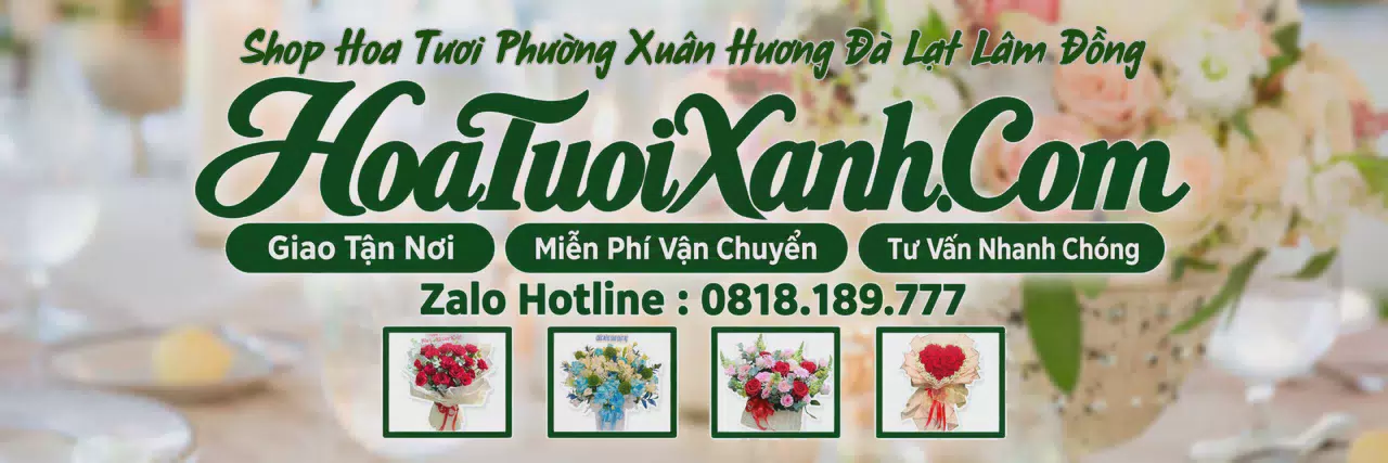 Ảnh bìa Tiệm Hoa Tươi Tại Phường Xuân Hương Đà Lạt Lâm Đồng, Đặt Hoa Online Tiện Lợi