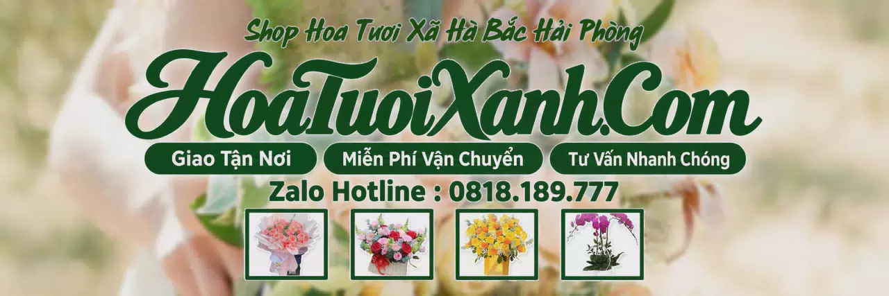 Ảnh bìa Tiệm Hoa Tươi Tại Xã Hà Bắc Hải Phòng, Dịch Vụ Đặt Hoa Trực Tuyến