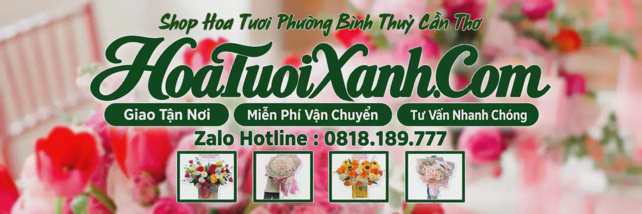 Ảnh bìa Tiệm Hoa Tươi Tại Phường Bình Thuỷ Cần Thơ, Shop Hoa Tươi Uy Tín