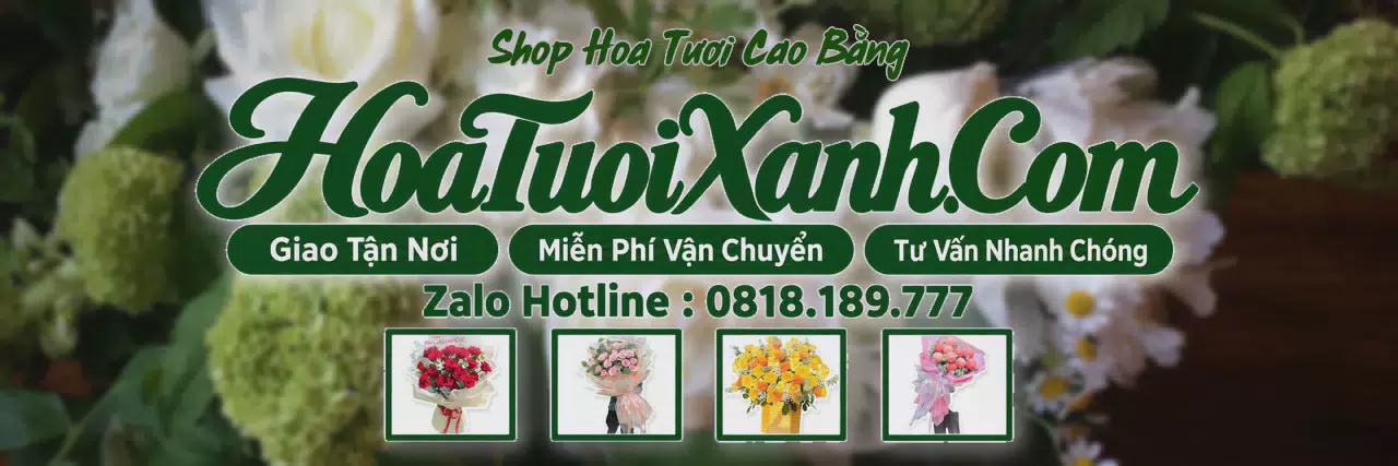 Ảnh bìa Tiệm Hoa Tươi Tại Cao Bằng, Đặt Hoa Đẹp Giá Tốt