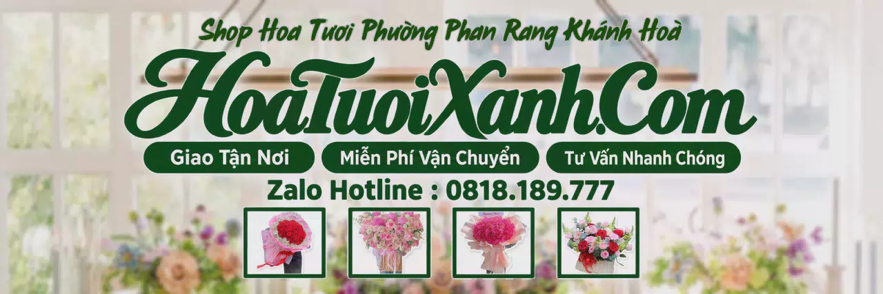 Ảnh bìa Tiệm Hoa Tươi Tại Phường Phan Rang Khánh Hoà, Hoa Tươi Mới Mỗi Ngày