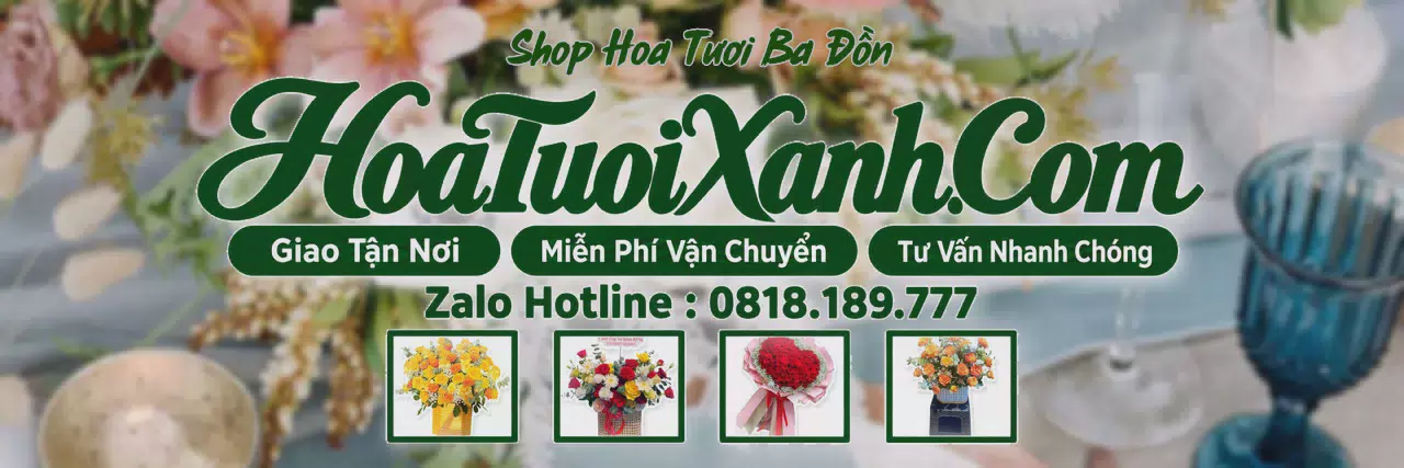Ảnh bìa Tiệm Hoa Tươi Tại Ba Đồn, Dịch Vụ Đặt Hoa Trực Tuyến