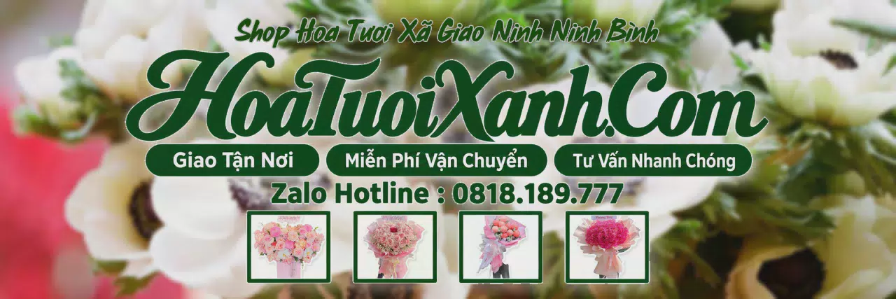 Ảnh bìa Tiệm Hoa Tươi Tại Xã Giao Ninh Ninh Bình, Đặt Hoa Online Tiện Lợi