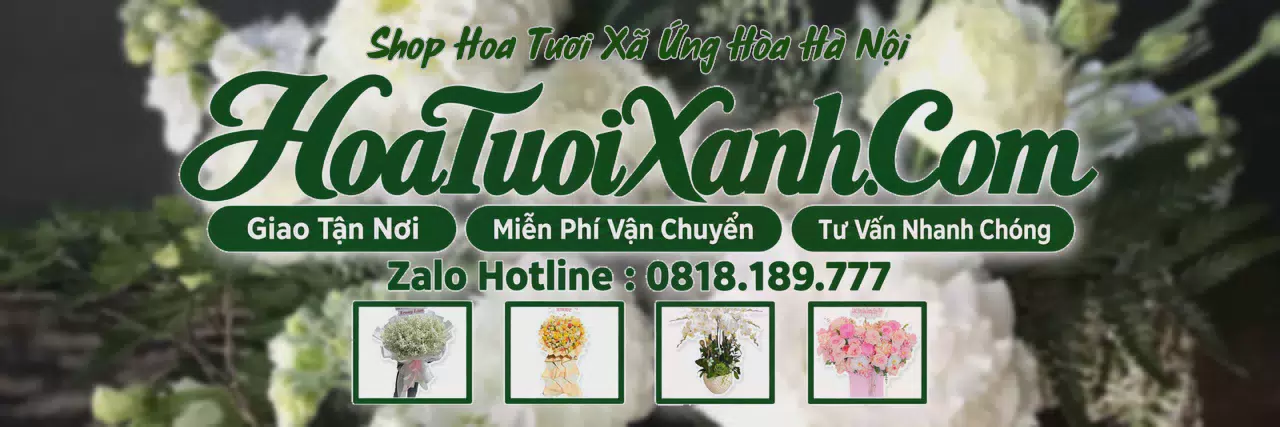 Ảnh bìa Tiệm Hoa Tươi Tại Xã Ứng Hòa Hà Nội, Shop Hoa Đẹp Giao Tận Nhà