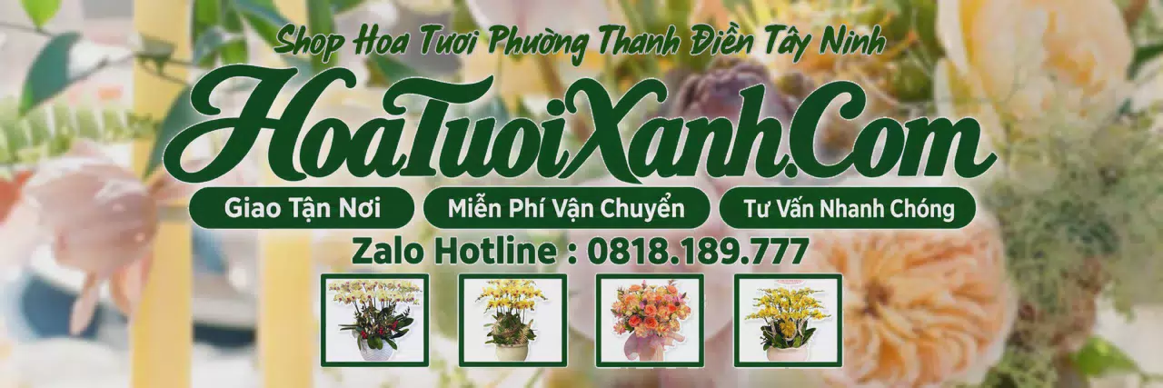 Ảnh bìa Tiệm Hoa Tươi Tại Phường Thanh Điền Tây Ninh, Dịch Vụ Đặt Hoa Trực Tuyến
