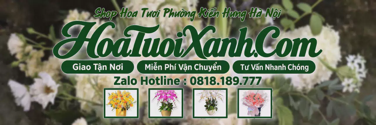 Ảnh bìa Tiệm Hoa Tươi Tại Phường Kiến Hưng Hà Nội, Shop Hoa Tươi Gần Đây