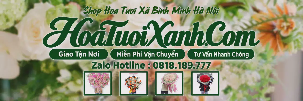 Ảnh bìa Tiệm Hoa Tươi Tại Xã Bình Minh Hà Nội, Đặt Hoa Tươi Trực Tuyến