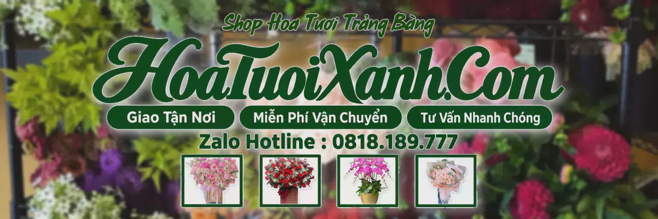 Ảnh bìa Tiệm Hoa Tươi Tại Trảng Bàng, Đặt Hoa Online Giao Nhanh
