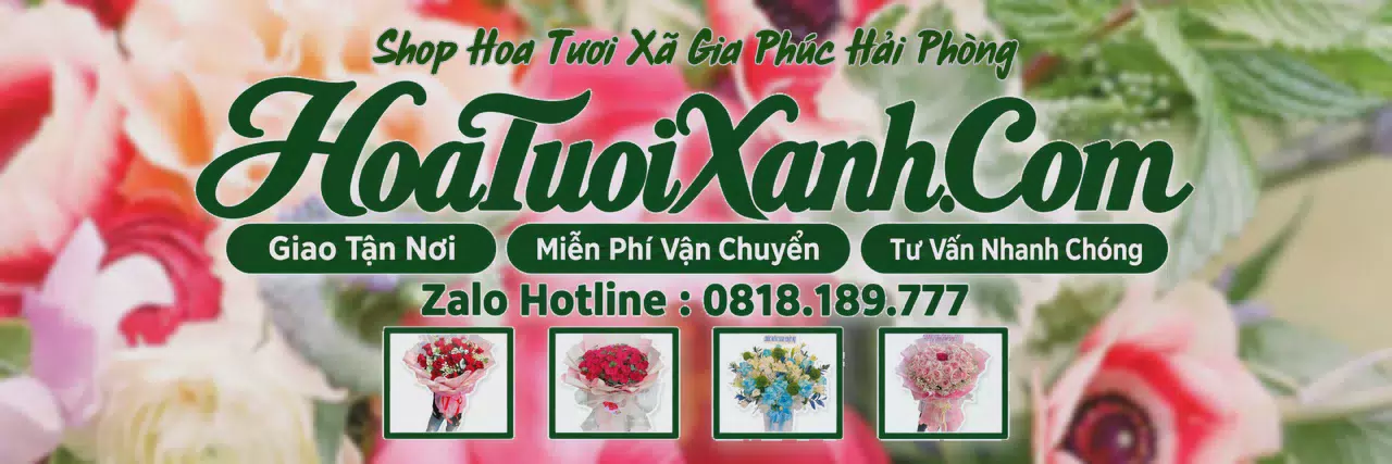 Ảnh bìa Tiệm Hoa Tươi Tại Xã Gia Phúc Hải Phòng, Đặt Hoa Tươi Theo Yêu Cầu