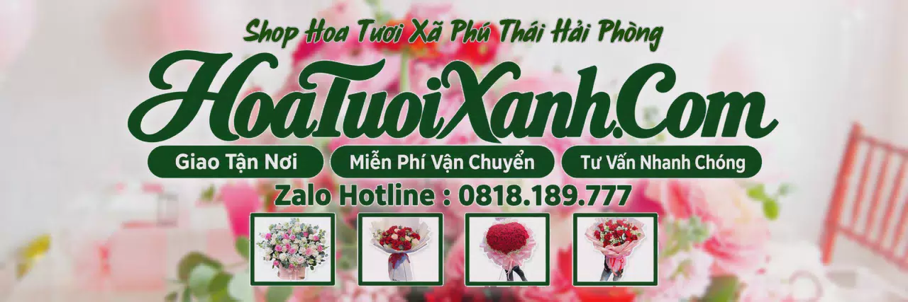 Ảnh bìa Tiệm Hoa Tươi Tại Xã Phú Thái Hải Phòng, Đặt Hoa Nhanh Giao Đúng Hẹn