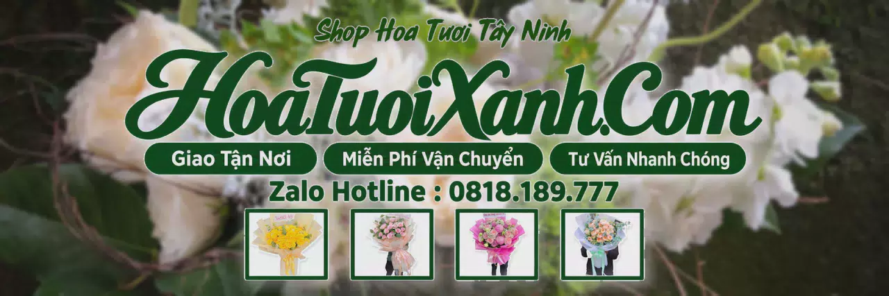Ảnh bìa Tiệm Hoa Tươi Tại Tây Ninh, Cửa Hàng Hoa Tươi Uy Tín