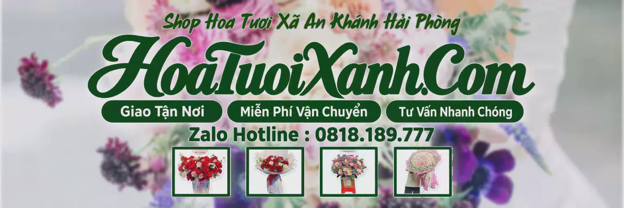 Ảnh bìa Tiệm Hoa Tươi Tại Xã An Khánh Hải Phòng, Đặt Hoa Đẹp Giá Tốt
