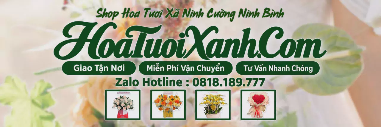 Ảnh bìa Tiệm Hoa Tươi Tại Xã Ninh Cường Ninh Bình, Đặt Hoa Nhanh Giao Đúng Hẹn