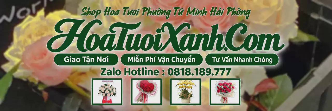 Ảnh bìa Tiệm Hoa Tươi Tại Phường Tứ Minh Hải Phòng, Đặt Hoa Tươi Trực Tuyến
