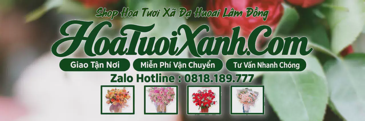 Ảnh bìa Tiệm Hoa Tươi Tại Xã Đạ Huoai Lâm Đồng, Đặt Hoa Online Tiện Lợi