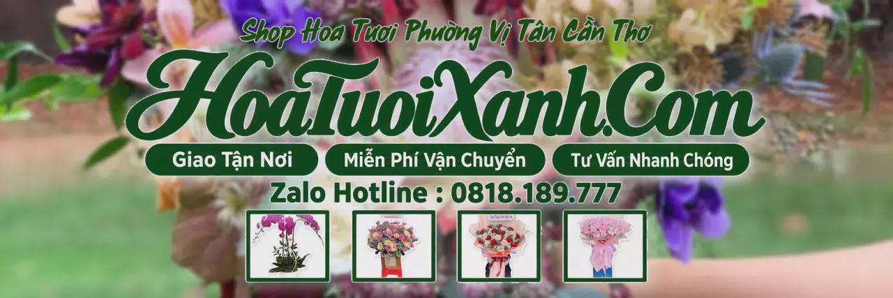 Ảnh bìa Tiệm Hoa Tươi Tại Phường Vị Tân Cần Thơ, Giao Hoa Tươi Trong Ngày