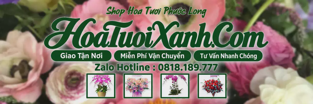 Ảnh bìa Tiệm Hoa Tươi Tại Phước Long, Đặt Hoa Tươi Trực Tuyến