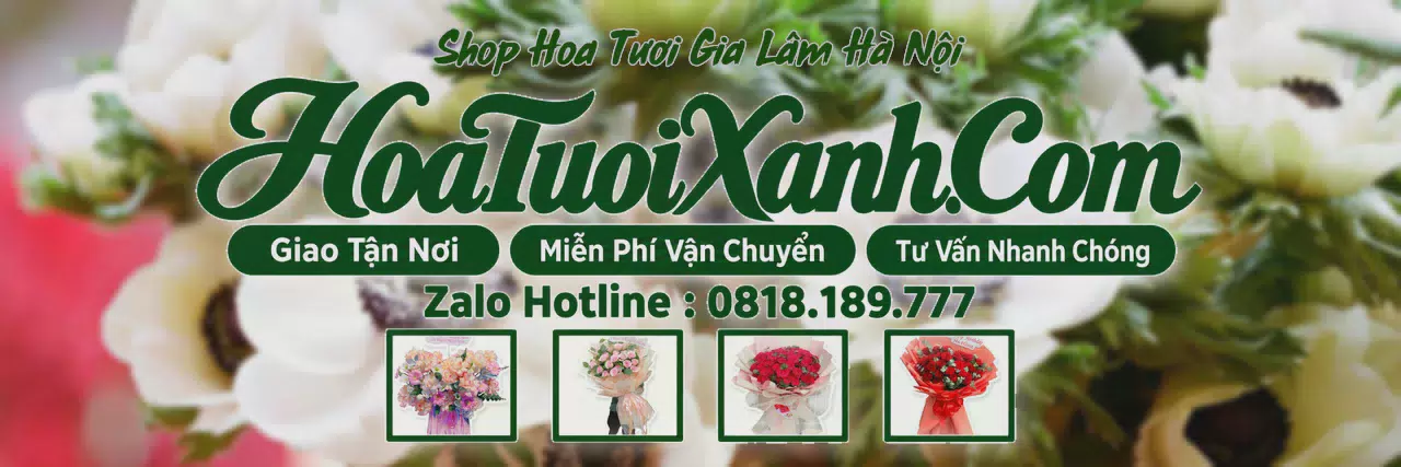 Ảnh bìa Tiệm Hoa Tươi Tại Gia Lâm Hà Nội, Đặt Hoa Online Giao Nhanh