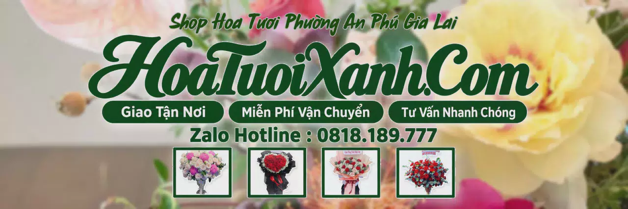 Ảnh bìa Tiệm Hoa Tươi Tại Phường An Phú Gia Lai, Đặt Hoa Nhanh Giao Đúng Hẹn