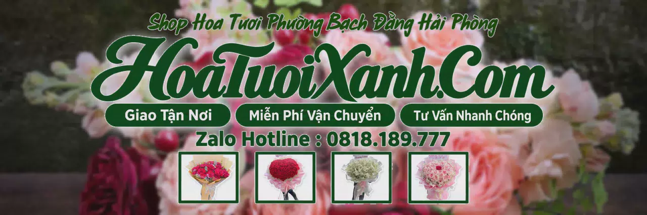 Ảnh bìa Tiệm Hoa Tươi Tại Phường Bạch Đằng Hải Phòng, Đặt Hoa Giao Tận Nơi