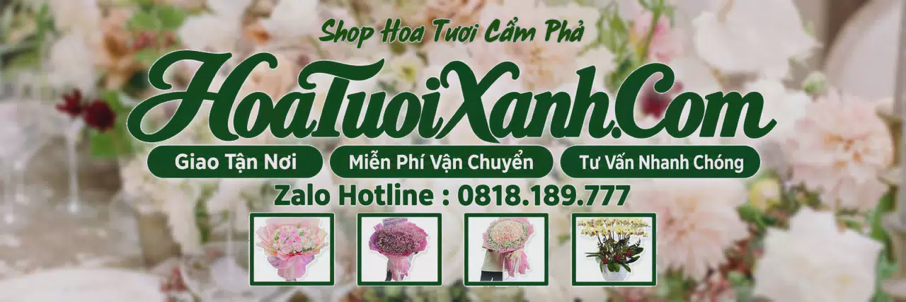 Ảnh bìa Tiệm Hoa Tươi Tại Cẩm Phả, Giao Hoa Tận Nhà Nhanh Chóng