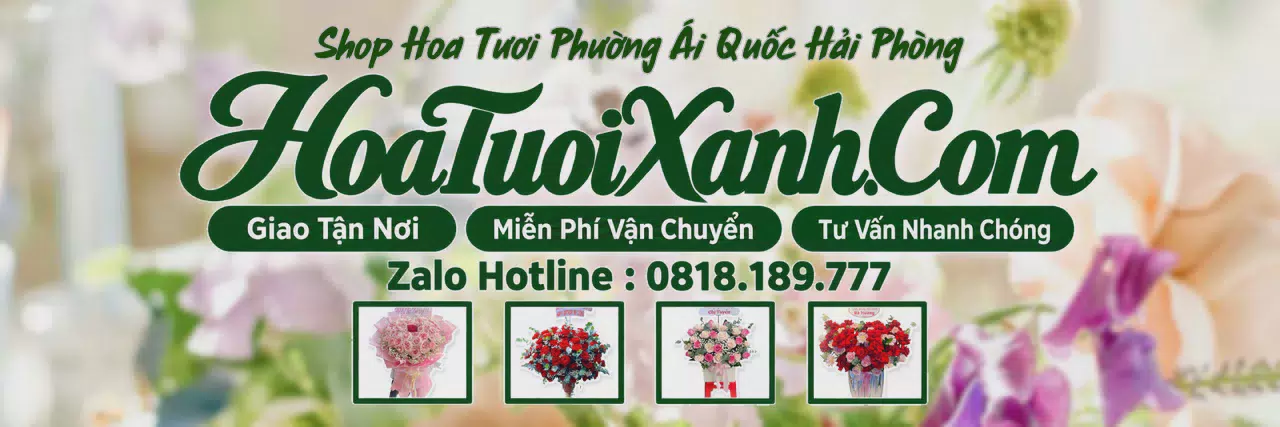 Ảnh bìa Tiệm Hoa Tươi Tại Phường Ái Quốc Hải Phòng, Dịch Vụ Điện Hoa Chuyên Nghiệp