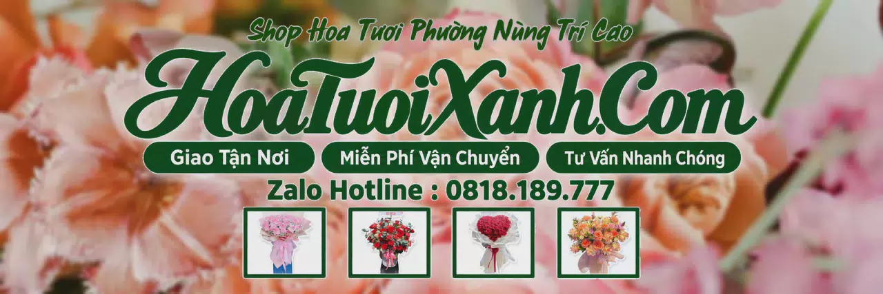 Ảnh bìa Tiệm Hoa Tươi Tại Phường Nùng Trí Cao, Shop Hoa Tươi Gần Đây