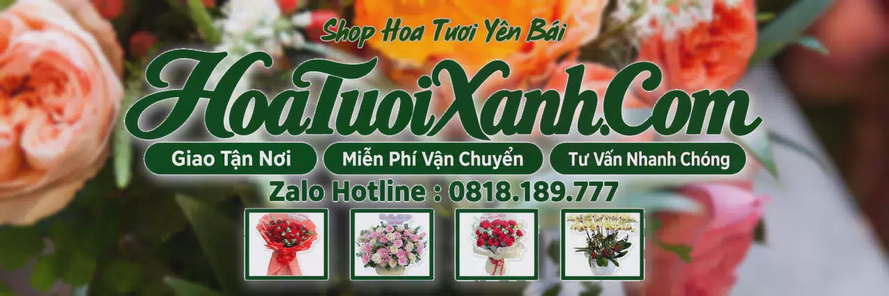 Ảnh bìa Tiệm Hoa Tươi Tại Yên Bái, Shop Hoa Tươi Chất Lượng