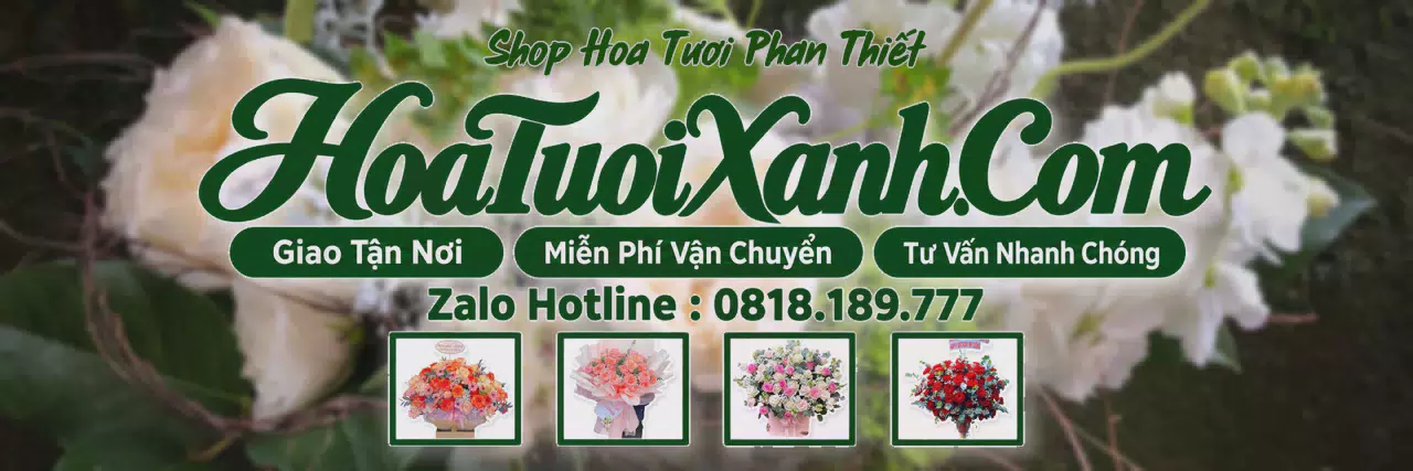 Ảnh bìa Tiệm Hoa Tươi Tại Phan Thiết, Đặt Hoa Nhanh Giao Đúng Hẹn